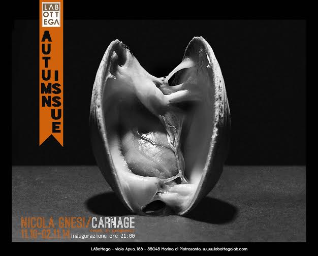 Nicola Gnesi – Carnage